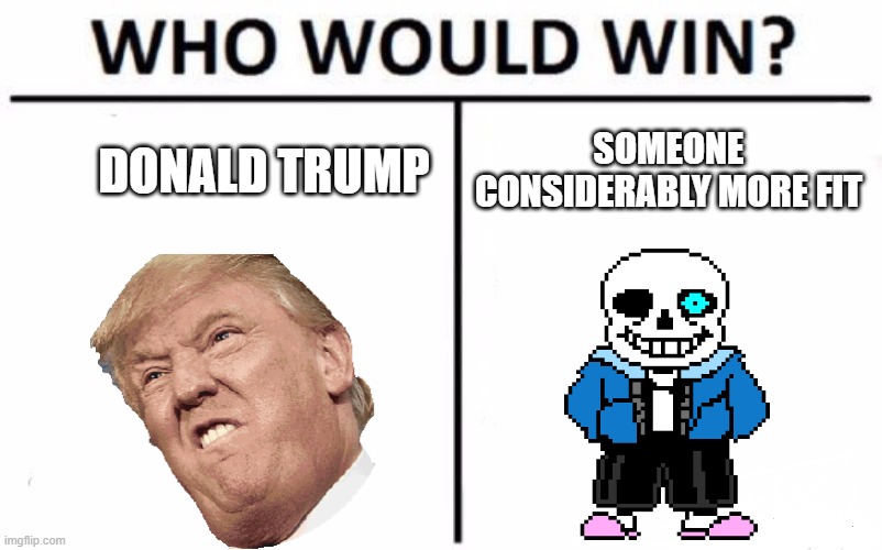 Who Would Win? Meme | SOMEONE CONSIDERABLY MORE FIT; DONALD TRUMP | image tagged in memes,who would win | made w/ Imgflip meme maker