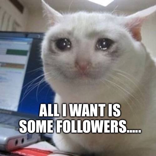 Crying cat | ALL I WANT IS SOME FOLLOWERS..... | image tagged in crying cat | made w/ Imgflip meme maker