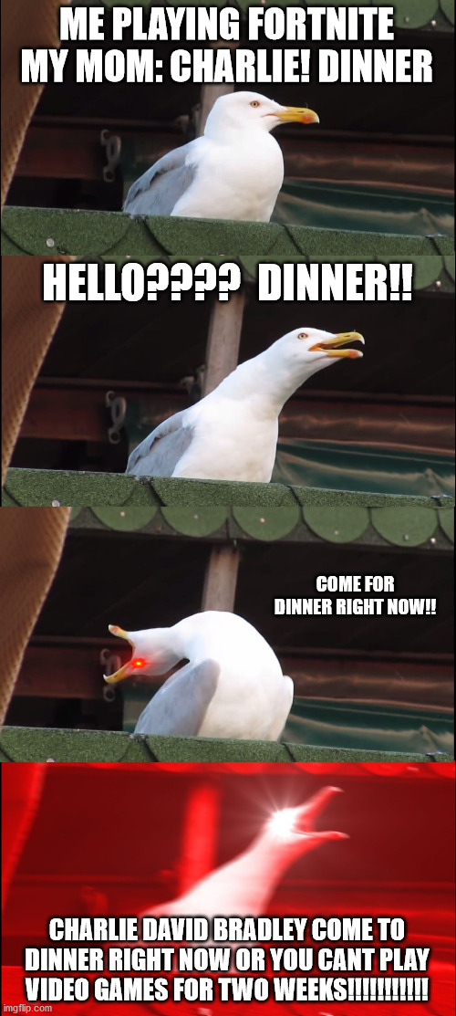 Inhaling Seagull Meme | ME PLAYING FORTNITE MY MOM: CHARLIE! DINNER; HELLO????  DINNER!! COME FOR DINNER RIGHT NOW!! CHARLIE DAVID BRADLEY COME TO DINNER RIGHT NOW OR YOU CANT PLAY VIDEO GAMES FOR TWO WEEKS!!!!!!!!!!! | image tagged in memes,inhaling seagull | made w/ Imgflip meme maker