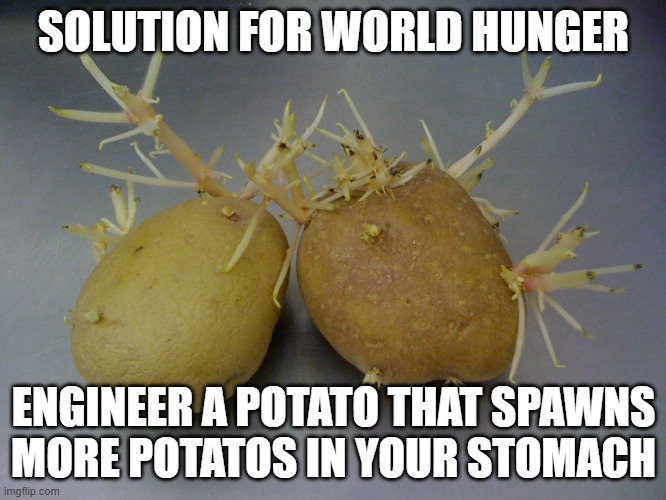 SOLUTION FOR WORLD HUNGER; ENGINEER A POTATO THAT SPAWNS MORE POTATOS IN YOUR STOMACH | image tagged in blursedmemes | made w/ Imgflip meme maker