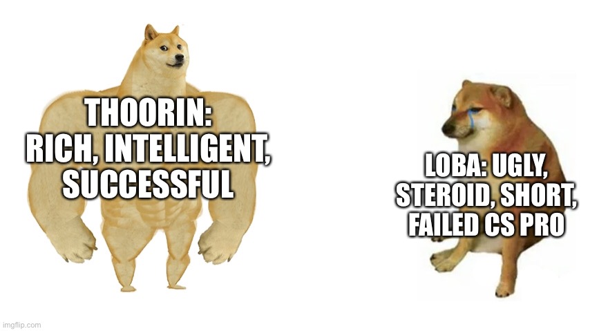 THOORIN: RICH, INTELLIGENT, SUCCESSFUL; LOBA: UGLY, STEROID, SHORT, FAILED CS PRO | made w/ Imgflip meme maker