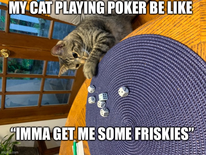 This is my grandma’s cat, Leo | MY CAT PLAYING POKER BE LIKE; “IMMA GET ME SOME FRISKIES” | image tagged in my kitty,what u up to | made w/ Imgflip meme maker