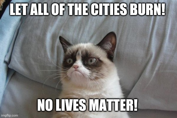 Grumpy Cat Bed |  LET ALL OF THE CITIES BURN! NO LIVES MATTER! | image tagged in memes,grumpy cat bed,grumpy cat | made w/ Imgflip meme maker