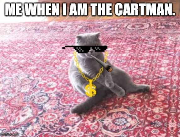 Cool Musyik | ME WHEN I AM THE CARTMAN. | image tagged in cool musyik,memes,cats,funny | made w/ Imgflip meme maker