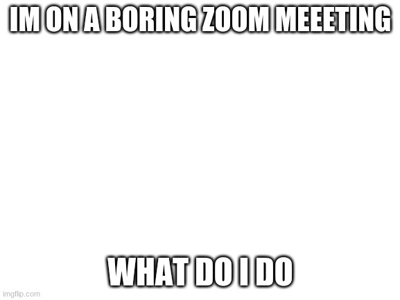 im bored | IM ON A BORING ZOOM MEEETING; WHAT DO I DO | image tagged in blank white template | made w/ Imgflip meme maker