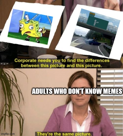 I see no diffrence | ADULTS WHO DON'T KNOW MEMES | image tagged in i see no diffrence | made w/ Imgflip meme maker
