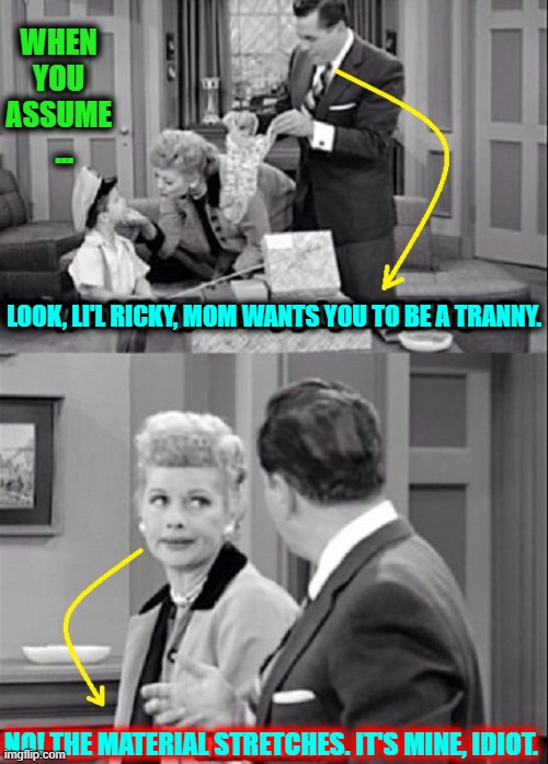 ASSUME = ASS + U + ME | LOOK, LI'L RICKY, MOM WANTS YOU TO BE A TRANNY. NO! THE MATERIAL STRETCHES. IT'S MINE, IDIOT. WHEN YOU ASSUME   ... | image tagged in vince vance,assume,memes,i love lucy,lucille ball,ricky ricardo | made w/ Imgflip meme maker