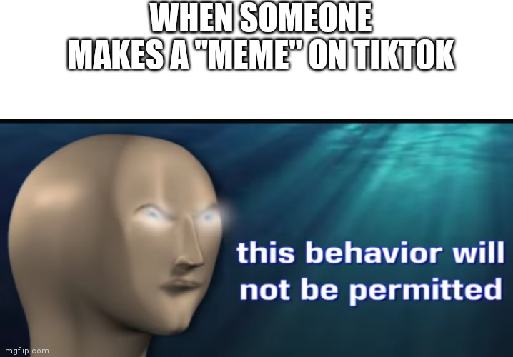 This behaviour will not be permitted | WHEN SOMEONE MAKES A "MEME" ON TIKTOK | image tagged in this behaviour will not be permitted | made w/ Imgflip meme maker