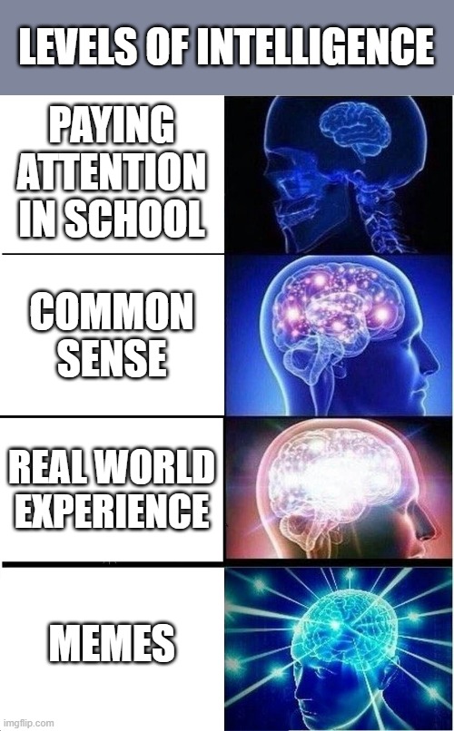 Expanding Brain | LEVELS OF INTELLIGENCE; PAYING ATTENTION IN SCHOOL; COMMON SENSE; REAL WORLD EXPERIENCE; MEMES | image tagged in memes,expanding brain | made w/ Imgflip meme maker