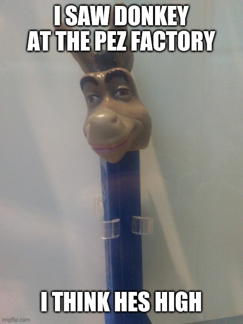 High donkey | I SAW DONKEY AT THE PEZ FACTORY; I THINK HES HIGH | made w/ Imgflip meme maker