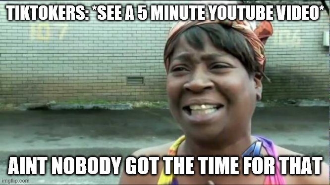 Weird People |  TIKTOKERS: *SEE A 5 MINUTE YOUTUBE VIDEO*; AINT NOBODY GOT THE TIME FOR THAT | image tagged in ain't nobody got time for that,tik tok | made w/ Imgflip meme maker