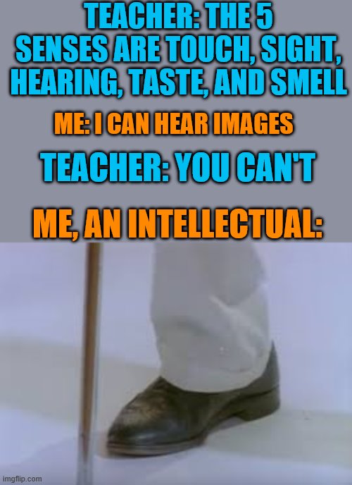 Meet My Friend Rick | TEACHER: THE 5 SENSES ARE TOUCH, SIGHT, HEARING, TASTE, AND SMELL; ME: I CAN HEAR IMAGES; TEACHER: YOU CAN'T; ME, AN INTELLECTUAL: | image tagged in memes,funny memes | made w/ Imgflip meme maker