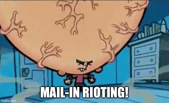 Big Brain timmy | MAIL-IN RIOTING! | image tagged in big brain timmy | made w/ Imgflip meme maker