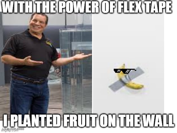 flex tape | WITH THE POWER OF FLEX TAPE; I PLANTED FRUIT ON THE WALL; LOUIS DUPLESSIS | image tagged in flex tape,banana,funny,gifs,memes,demotivationals | made w/ Imgflip meme maker