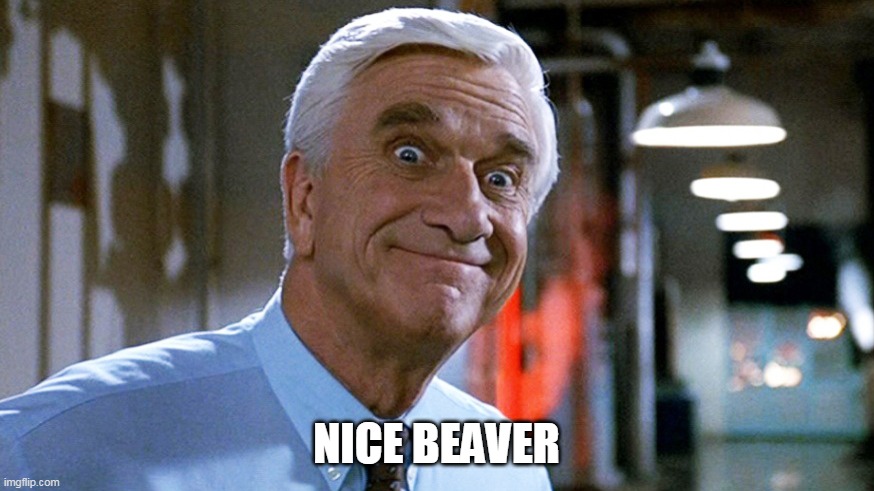 Leslie Nielsen | NICE BEAVER | image tagged in leslie nielsen | made w/ Imgflip meme maker