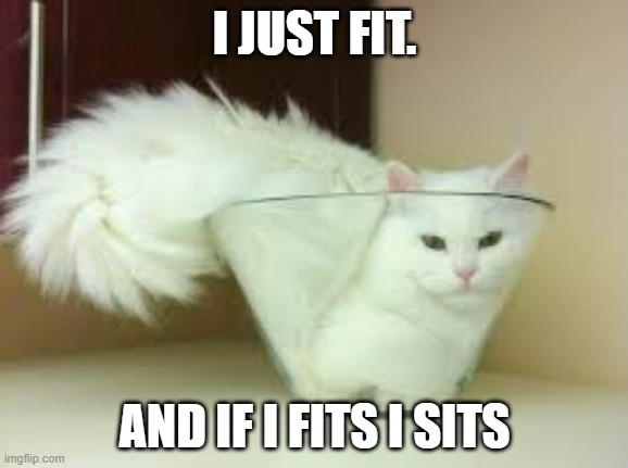 lol kitty | I JUST FIT. AND IF I FITS I SITS | image tagged in if i fits i sits cat,cats | made w/ Imgflip meme maker