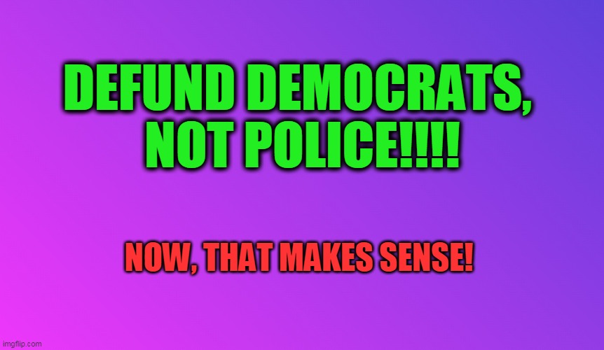 Blank Color | DEFUND DEMOCRATS, 
NOT POLICE!!!! NOW, THAT MAKES SENSE! | image tagged in blank color | made w/ Imgflip meme maker