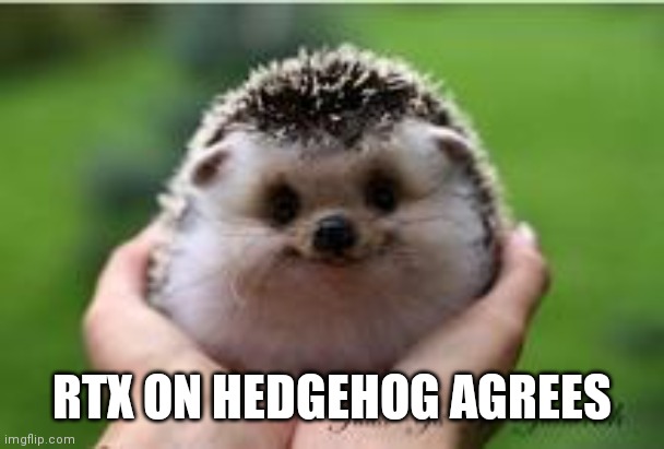 AdorbHedgehog | RTX ON HEDGEHOG AGREES | image tagged in adorbhedgehog | made w/ Imgflip meme maker