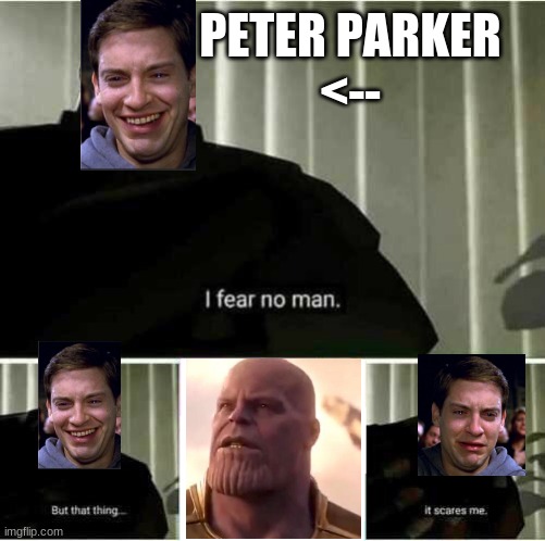 peter parker or spiderman was the 50% that was snapped | PETER PARKER
<-- | image tagged in i fear no man | made w/ Imgflip meme maker
