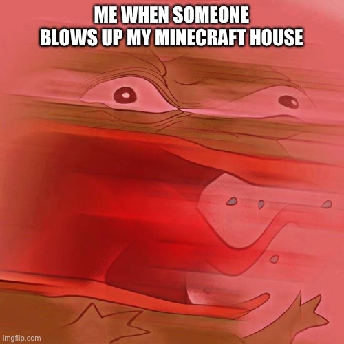 REEEEEEEEEEEE | ME WHEN SOMEONE BLOWS UP MY MINECRAFT HOUSE | image tagged in reeeeeeeeeeee,memes | made w/ Imgflip meme maker