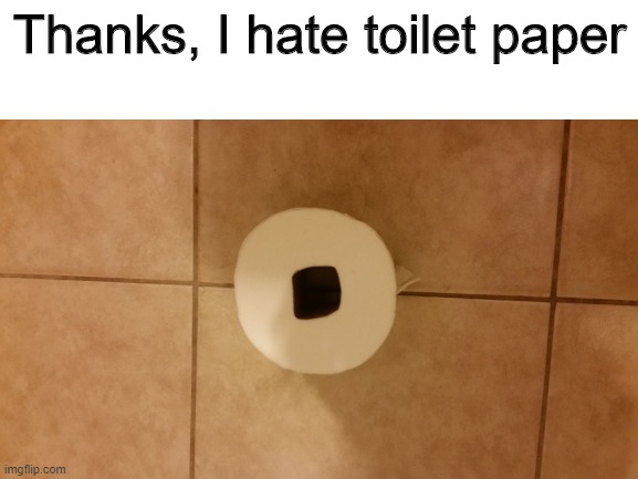 Thanks, I hate toilet paper | made w/ Imgflip meme maker