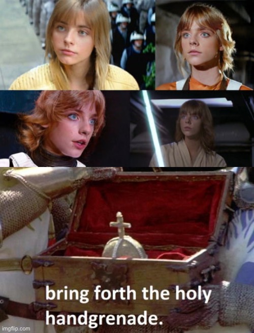 Who in gods name would do that | image tagged in luke skywalker,yikes,monty python and the holy grail | made w/ Imgflip meme maker