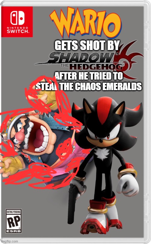 Oh god..... | GETS SHOT BY; AFTER HE TRIED TO STEAL THE CHAOS EMERALDS | image tagged in nintendo switch,shadow the hedgehog,wario | made w/ Imgflip meme maker