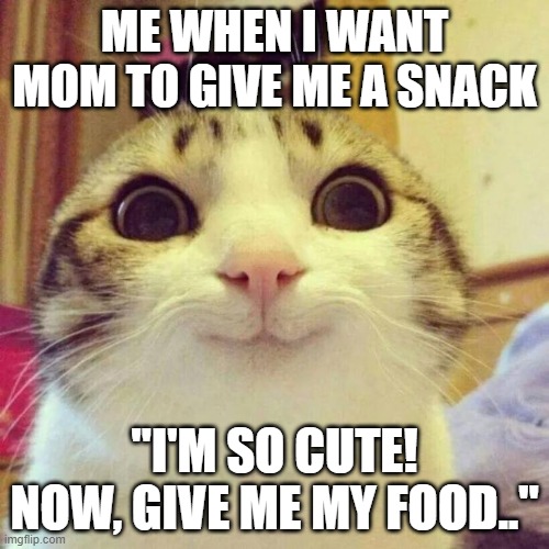 Me Working Hard For Food | ME WHEN I WANT MOM TO GIVE ME A SNACK; "I'M SO CUTE! NOW, GIVE ME MY FOOD.." | image tagged in memes,smiling cat,cat,cats,cute | made w/ Imgflip meme maker