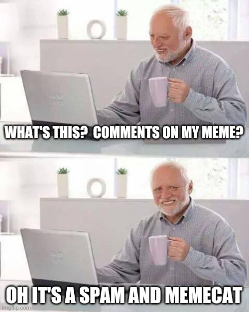 It's back guys | WHAT'S THIS?  COMMENTS ON MY MEME? OH IT'S A SPAM AND MEMECAT | image tagged in memes,hide the pain harold | made w/ Imgflip meme maker