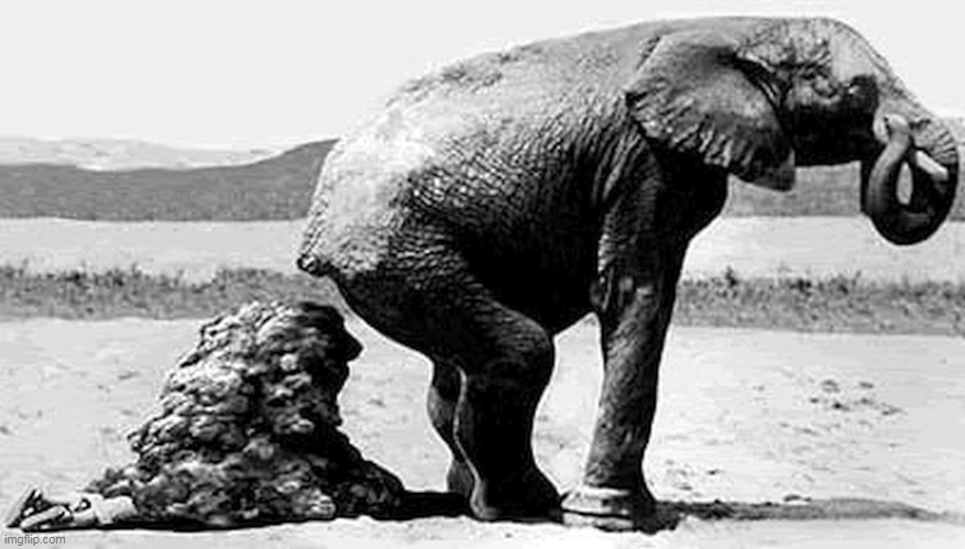 GOP Republican elephant crap shit | image tagged in gop republican elephant crap shit | made w/ Imgflip meme maker