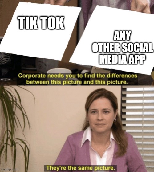 Corporate needs you to find the differences | ANY OTHER SOCIAL MEDIA APP; TIK TOK | image tagged in corporate needs you to find the differences | made w/ Imgflip meme maker