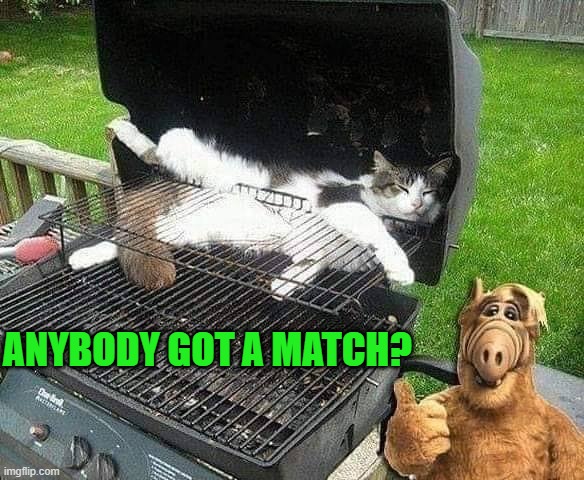 barque at alfs house | ANYBODY GOT A MATCH? | image tagged in alf,barbecue | made w/ Imgflip meme maker