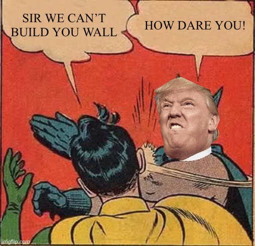 Batman Slapping Robin | SIR WE CAN’T BUILD YOU WALL; HOW DARE YOU! | image tagged in memes,batman slapping robin | made w/ Imgflip meme maker