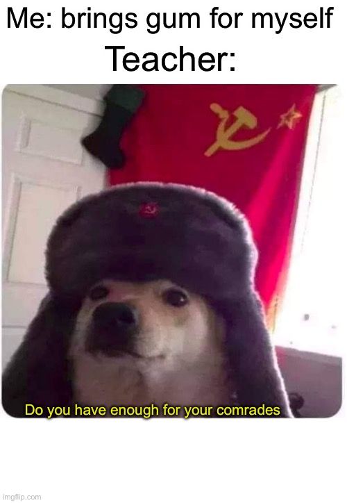 Soviet doggo | Teacher:; Me: brings gum for myself; Do you have enough for your comrades | image tagged in funny dogs | made w/ Imgflip meme maker