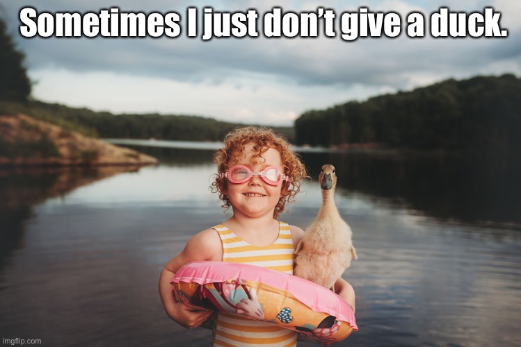 Sometimes I Just Don’t Give a Duck | Sometimes I just don’t give a duck. | image tagged in duck,funny memes | made w/ Imgflip meme maker