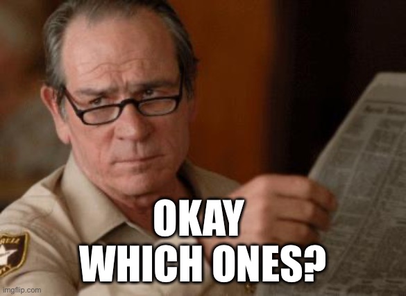 Tommy Lee Jones | OKAY 
WHICH ONES? | image tagged in tommy lee jones | made w/ Imgflip meme maker