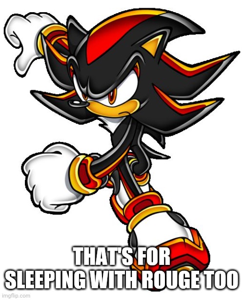 Shadow the hedgehog | THAT'S FOR SLEEPING WITH ROUGE TOO | image tagged in shadow the hedgehog | made w/ Imgflip meme maker