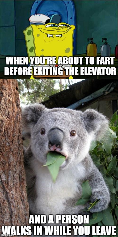 don't you dare | WHEN YOU'RE ABOUT TO FART BEFORE EXITING THE ELEVATOR; AND A PERSON WALKS IN WHILE YOU LEAVE | image tagged in memes,surprised koala,don't you squidward | made w/ Imgflip meme maker