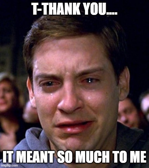crying peter parker | T-THANK YOU.... IT MEANT SO MUCH TO ME | image tagged in crying peter parker | made w/ Imgflip meme maker