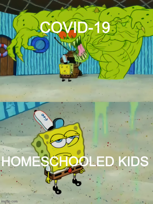Online School is no different from actually being homeschooled | COVID-19; HOMESCHOOLED KIDS | image tagged in ghost not scaring spongebob,covid-19,online class,dank memes | made w/ Imgflip meme maker