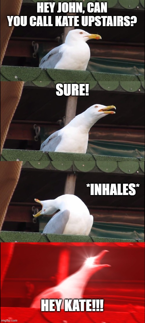 Dunno what to call this Meme... | HEY JOHN, CAN YOU CALL KATE UPSTAIRS? SURE! *INHALES*; HEY KATE!!! | image tagged in memes,inhaling seagull | made w/ Imgflip meme maker