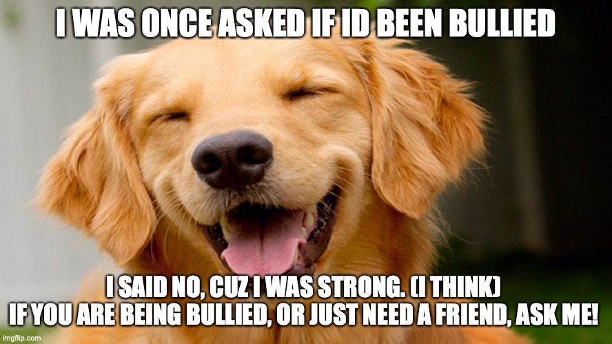 smiling dog | I WAS ONCE ASKED IF ID BEEN BULLIED; I SAID NO, CUZ I WAS STRONG. (I THINK) 
IF YOU ARE BEING BULLIED, OR JUST NEED A FRIEND, ASK ME! | image tagged in smiling dog,peace,puppylover04 | made w/ Imgflip meme maker