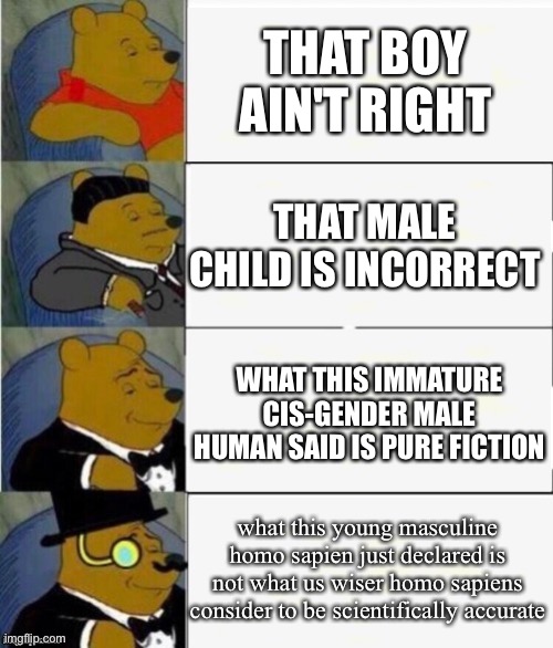 Tuxedo Winnie the Pooh 4 panel | THAT BOY AIN'T RIGHT; THAT MALE CHILD IS INCORRECT; WHAT THIS IMMATURE CIS-GENDER MALE HUMAN SAID IS PURE FICTION; what this young masculine homo sapien just declared is not what us wiser homo sapiens consider to be scientifically accurate | image tagged in tuxedo winnie the pooh 4 panel | made w/ Imgflip meme maker