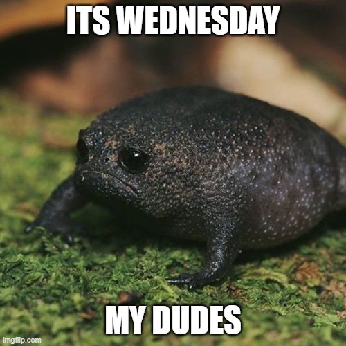 Its Wednesday my dudes | ITS WEDNESDAY; MY DUDES | image tagged in wednesday | made w/ Imgflip meme maker