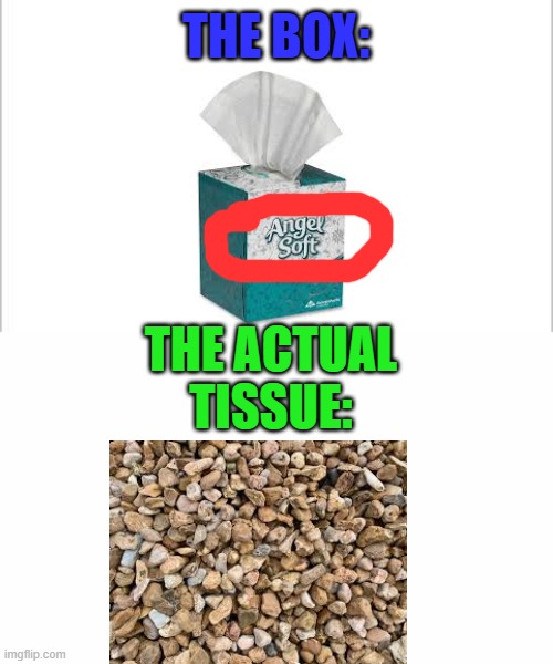 white background | THE BOX:; THE ACTUAL TISSUE: | image tagged in white background | made w/ Imgflip meme maker