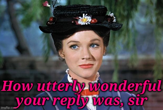 Mary Poppins | How utterly wonderful your reply was, sir | image tagged in mary poppins | made w/ Imgflip meme maker