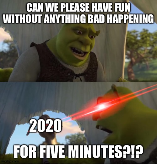 Shrek For Five Minutes | CAN WE PLEASE HAVE FUN WITHOUT ANYTHING BAD HAPPENING; 2020; FOR FIVE MINUTES?!? | image tagged in shrek for five minutes | made w/ Imgflip meme maker