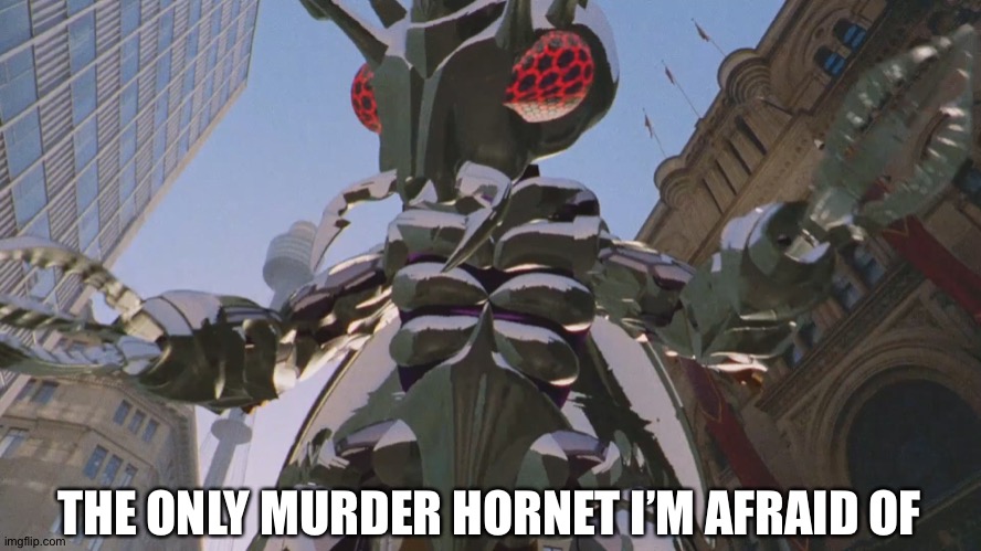 Murder Hornet | THE ONLY MURDER HORNET I’M AFRAID OF | image tagged in murder hornet,power rangers,2020 | made w/ Imgflip meme maker