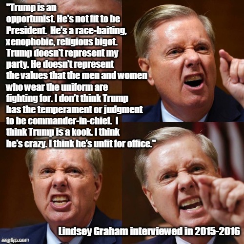 graham cracker | image tagged in lindsey graham | made w/ Imgflip meme maker