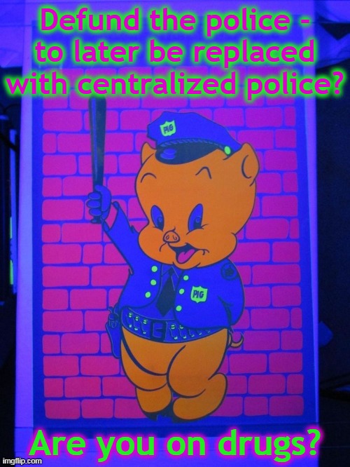 Defund the police... | Defund the police -
to later be replaced with centralized police? Are you on drugs? | image tagged in psychedelic porky pig police | made w/ Imgflip meme maker